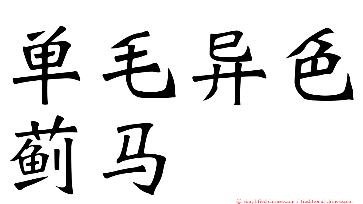 单毛异色蓟马