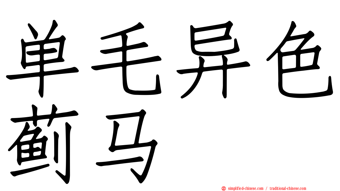 单毛异色蓟马
