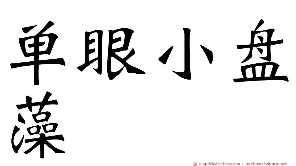 单眼小盘藻