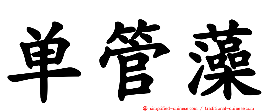 单管藻