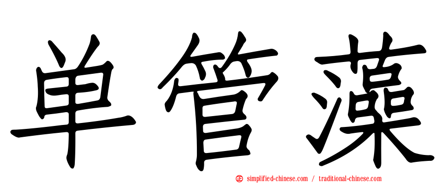 单管藻