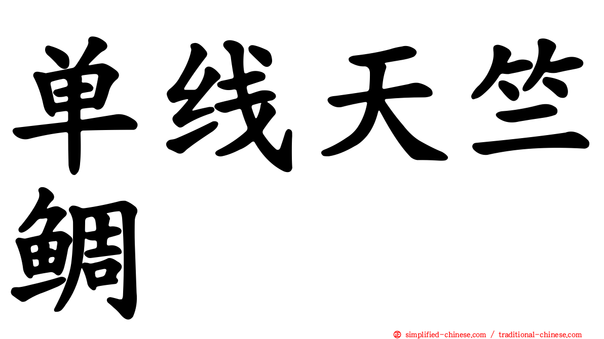 单线天竺鲷