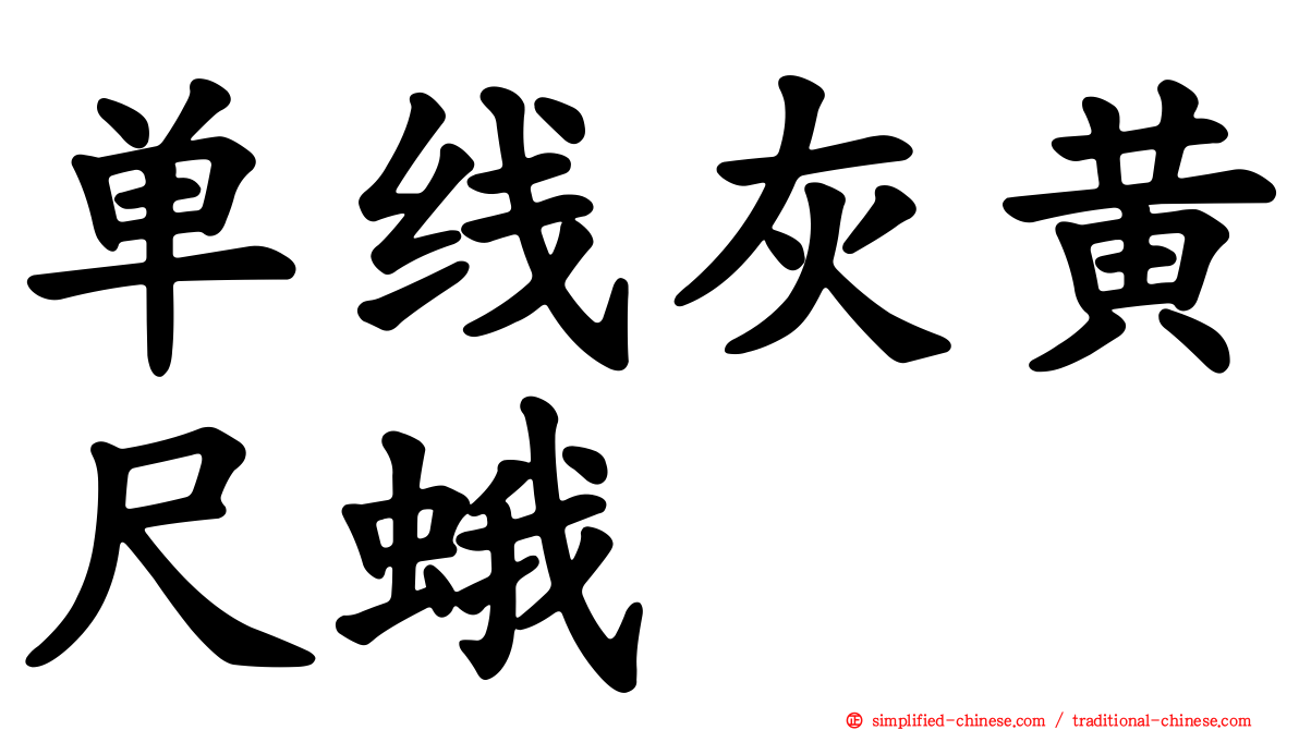单线灰黄尺蛾