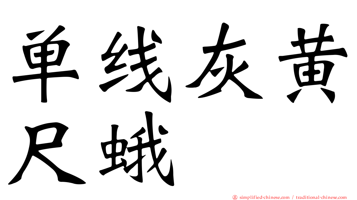 单线灰黄尺蛾