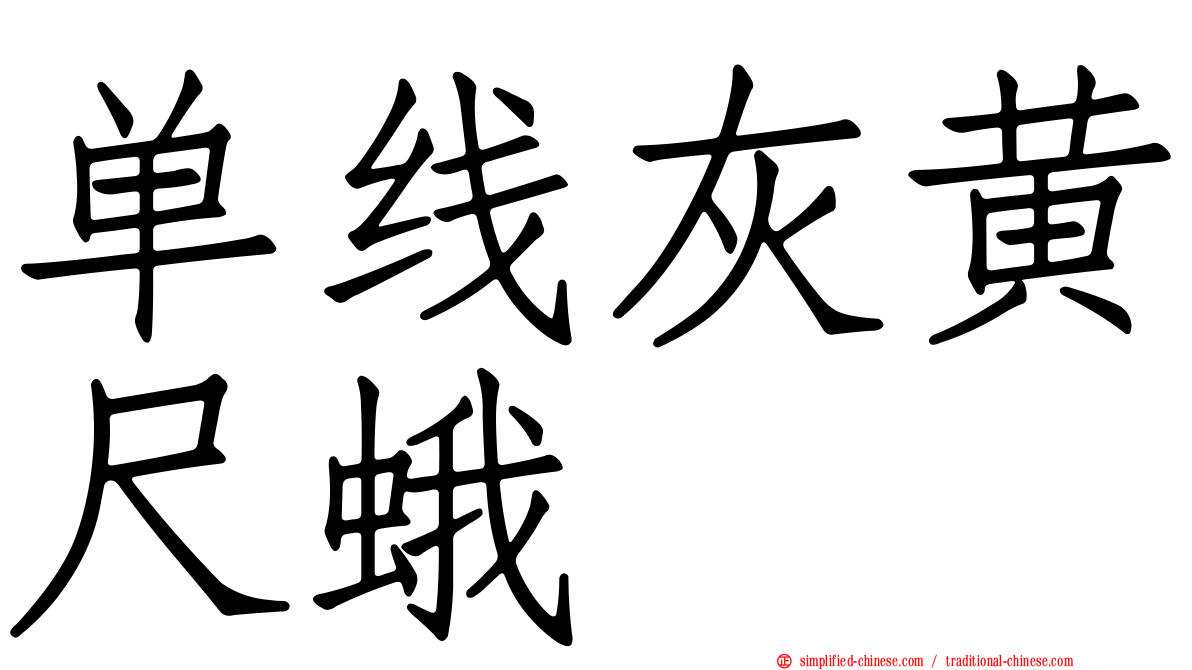 单线灰黄尺蛾