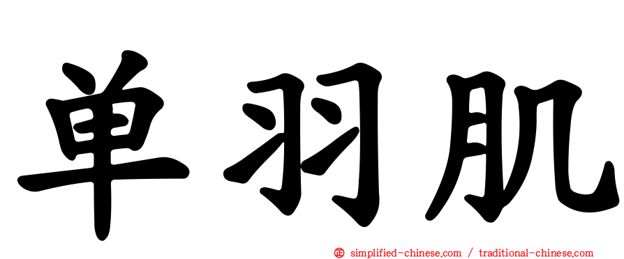 单羽肌