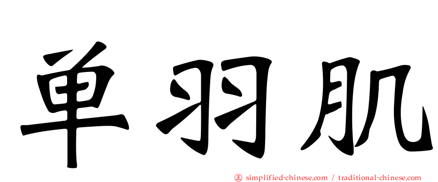 单羽肌