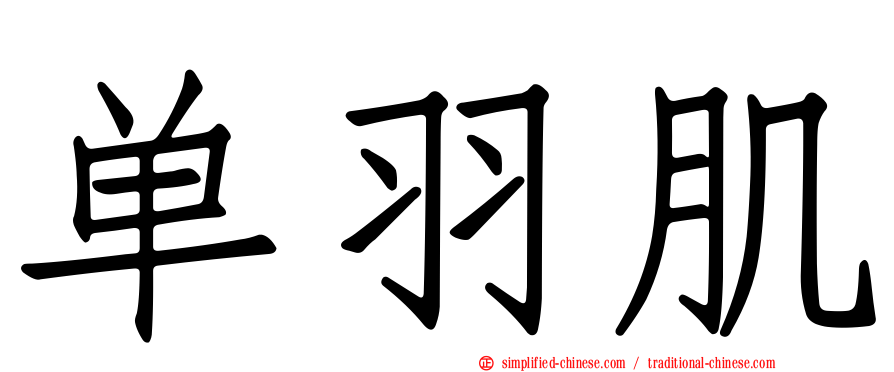 单羽肌
