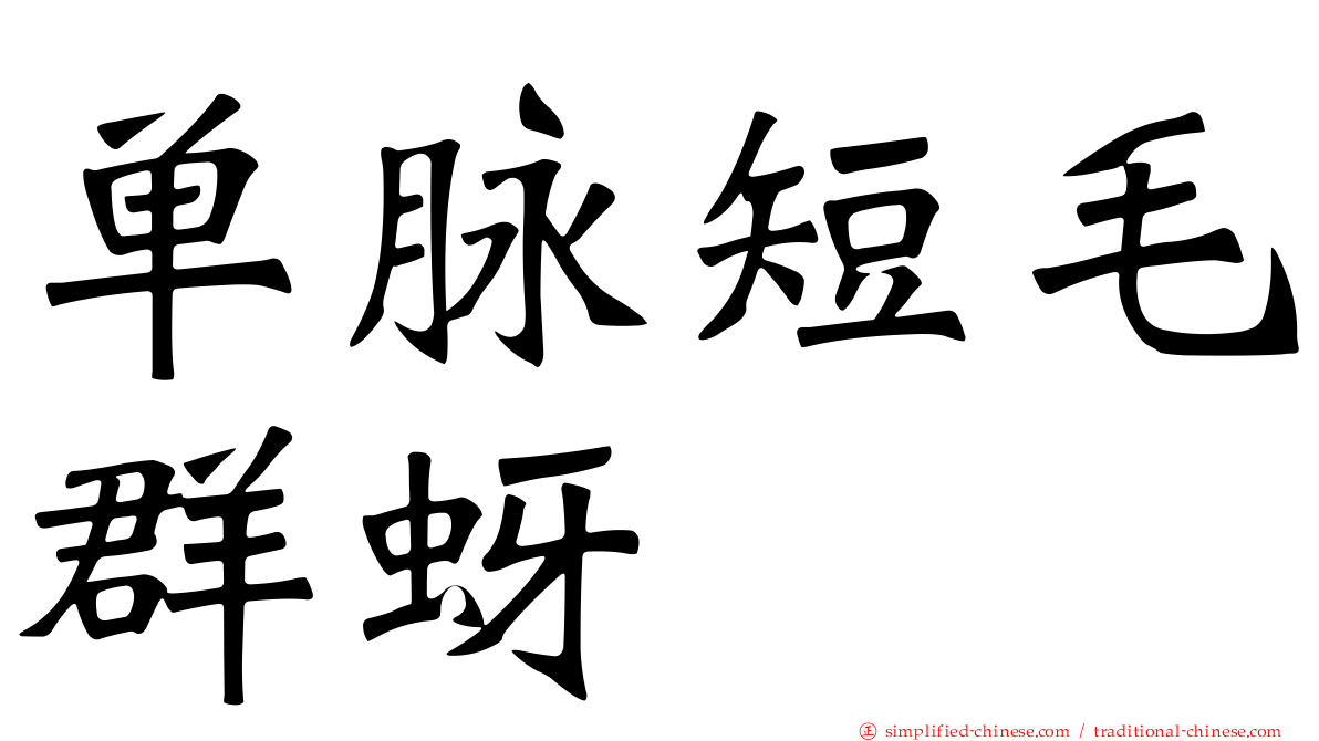 单脉短毛群蚜
