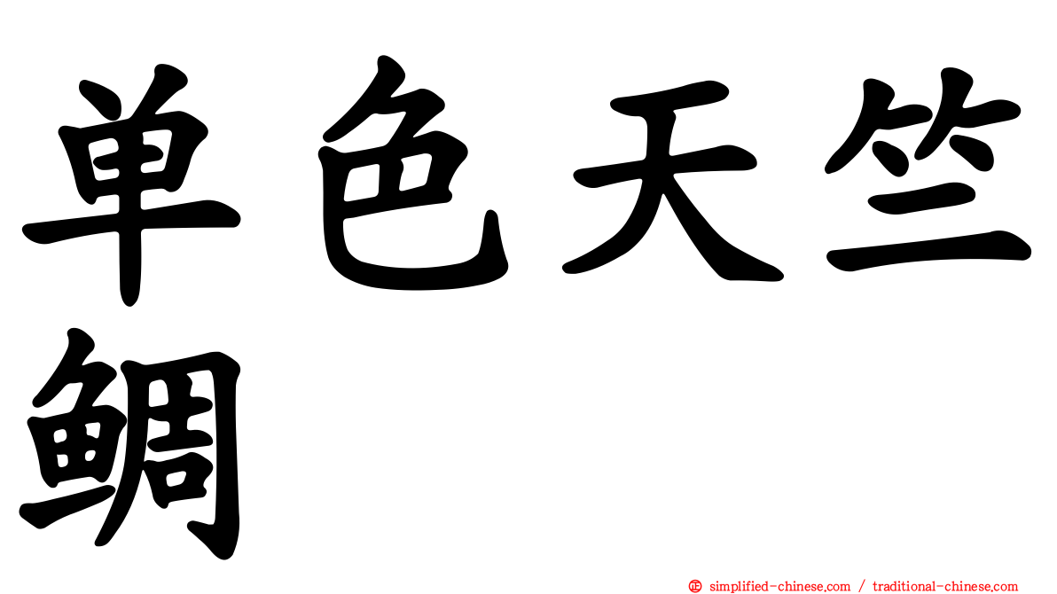 单色天竺鲷