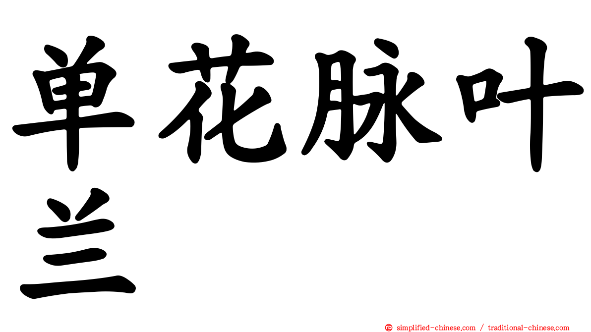 单花脉叶兰