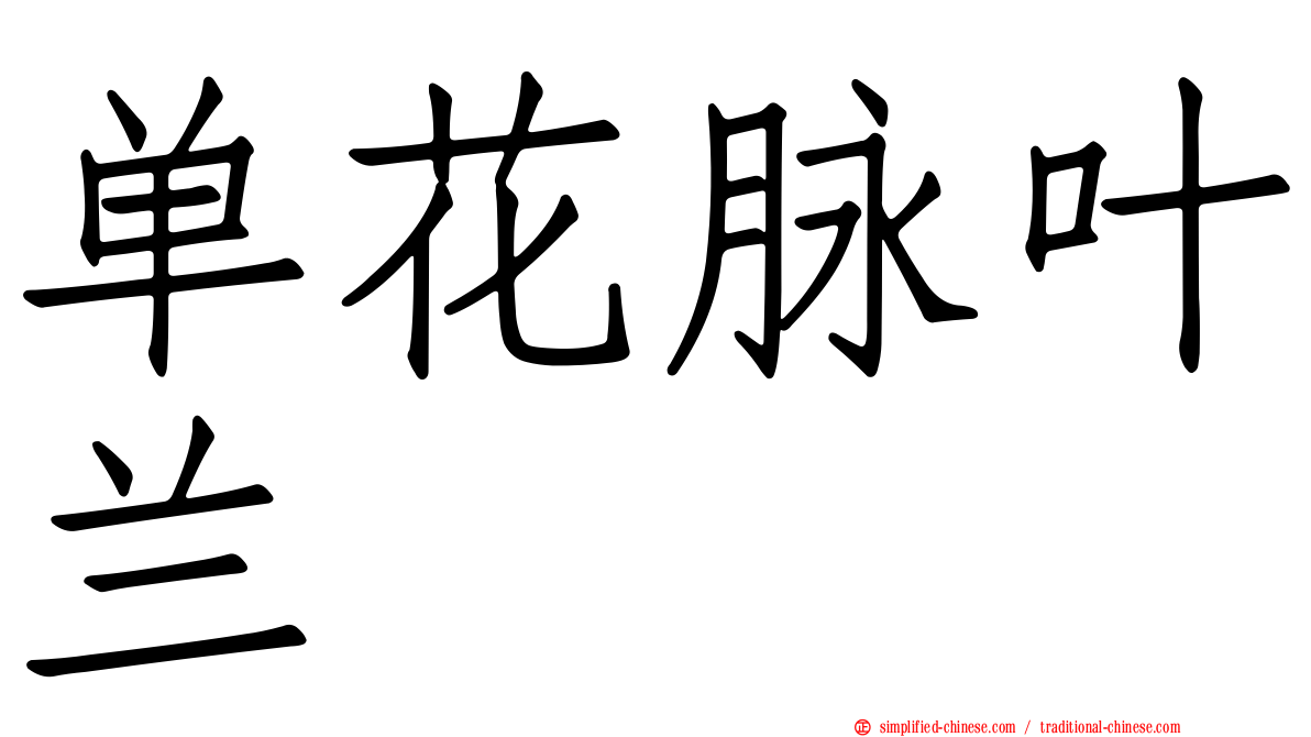 单花脉叶兰