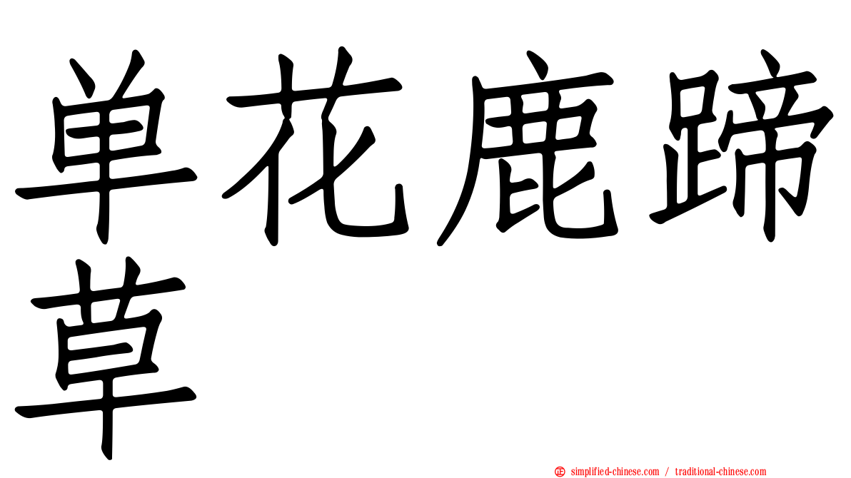 单花鹿蹄草