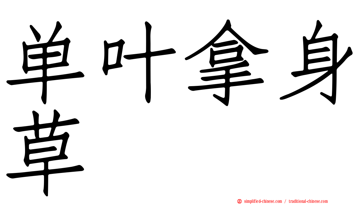 单叶拿身草