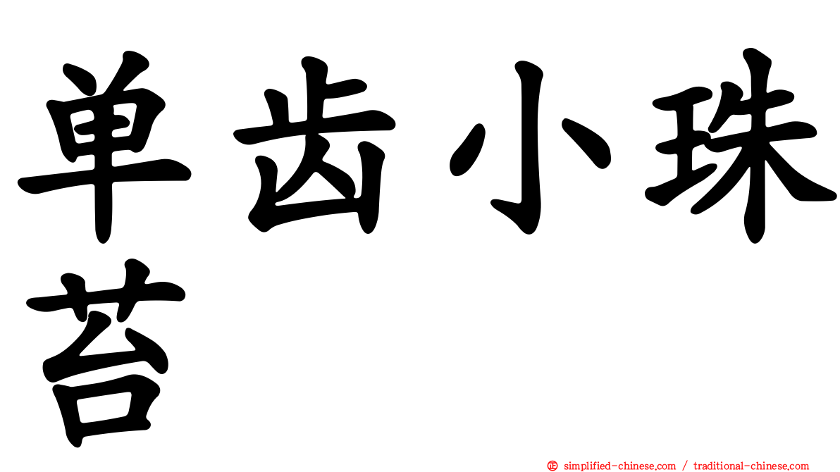 单齿小珠苔