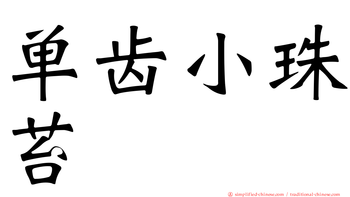 单齿小珠苔