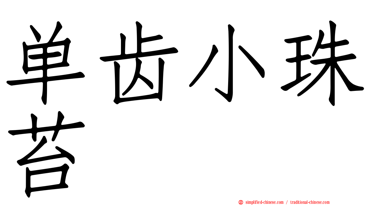 单齿小珠苔
