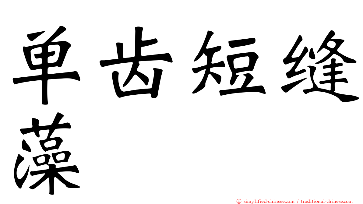 单齿短缝藻