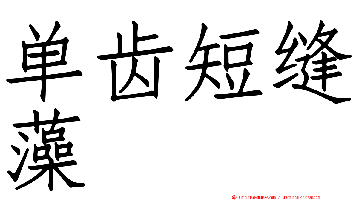 单齿短缝藻