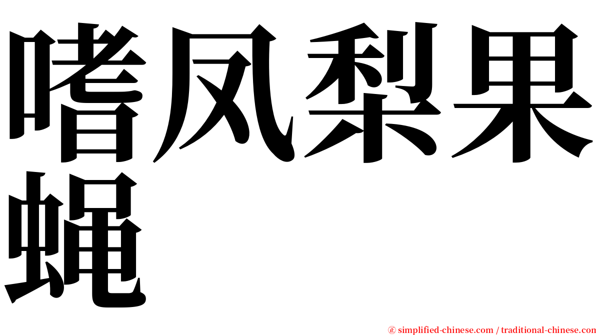 嗜凤梨果蝇 serif font