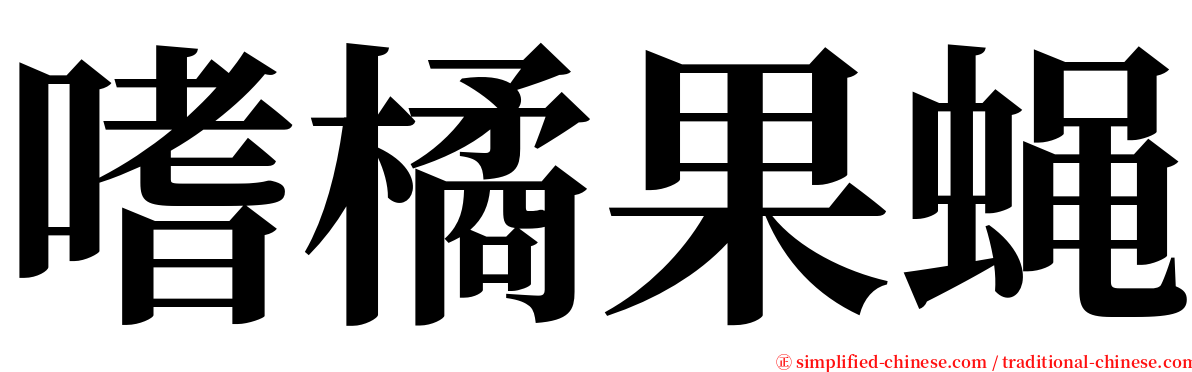 嗜橘果蝇 serif font