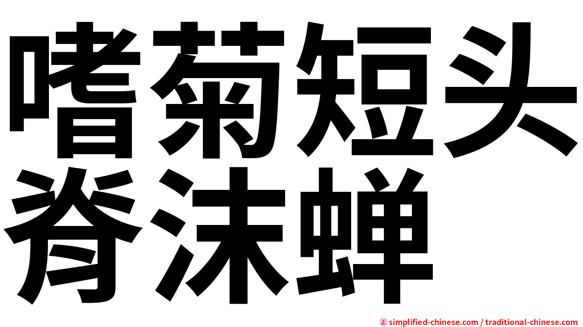 嗜菊短头脊沫蝉