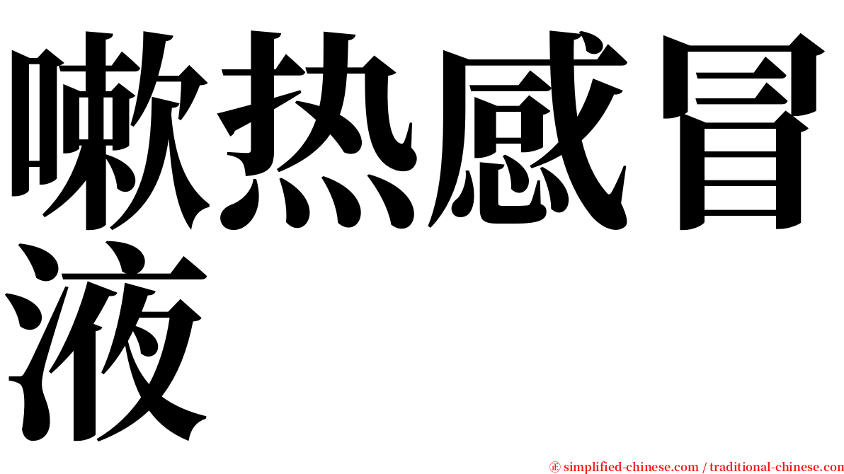 嗽热感冒液 serif font