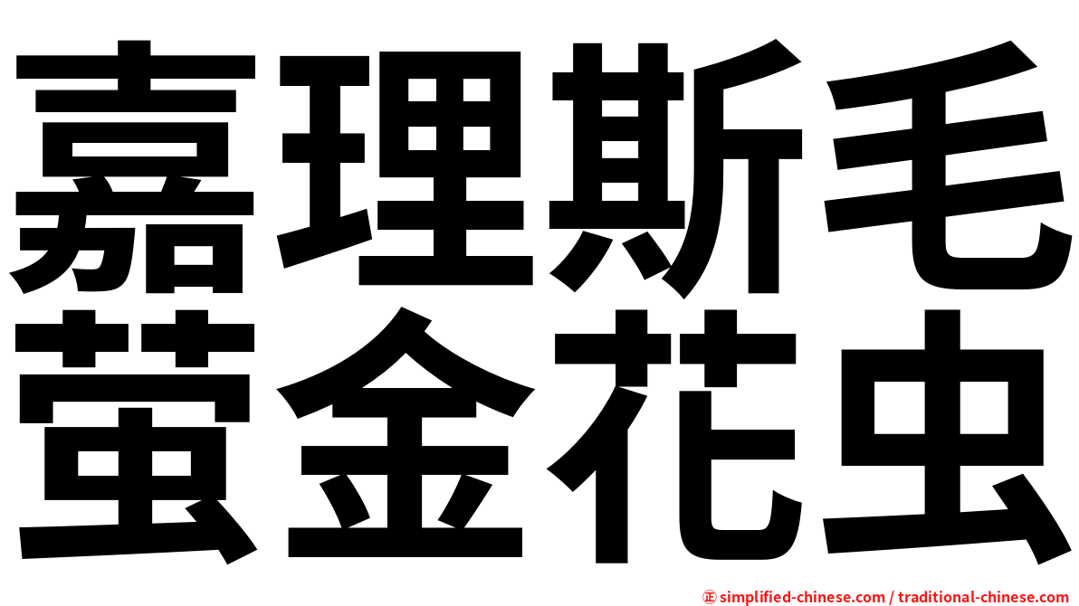嘉理斯毛萤金花虫