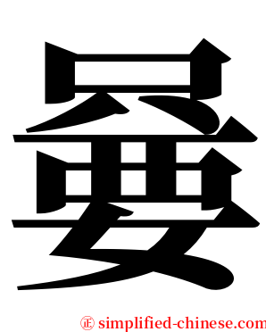 嘦 serif font