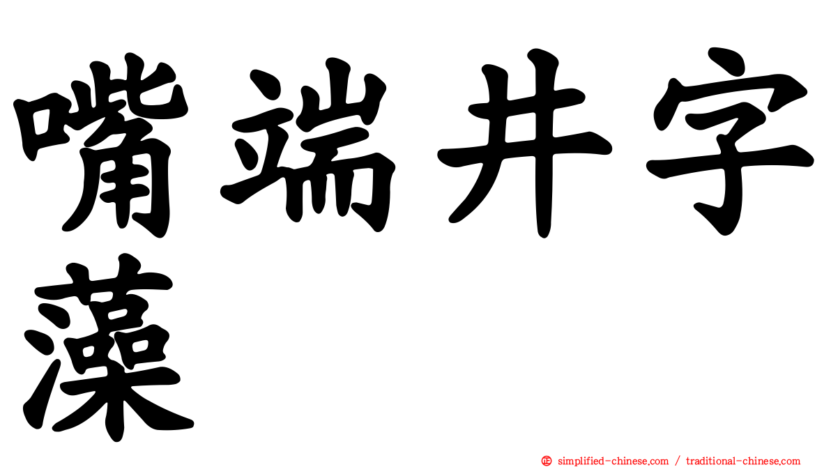 嘴端井字藻