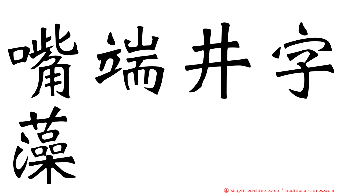 嘴端井字藻