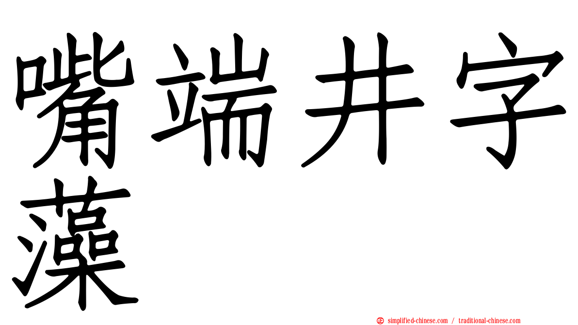 嘴端井字藻
