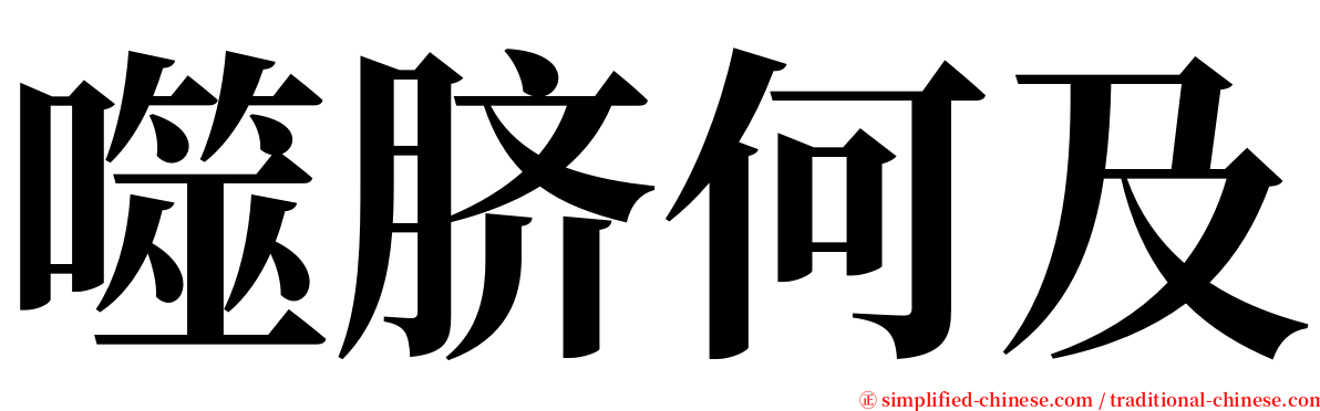 噬脐何及 serif font