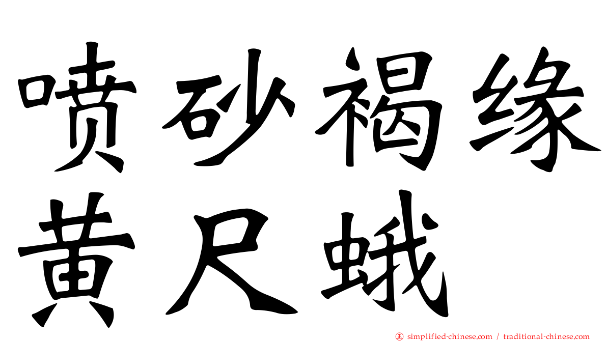 喷砂褐缘黄尺蛾