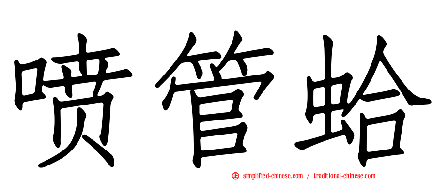 喷管蛤