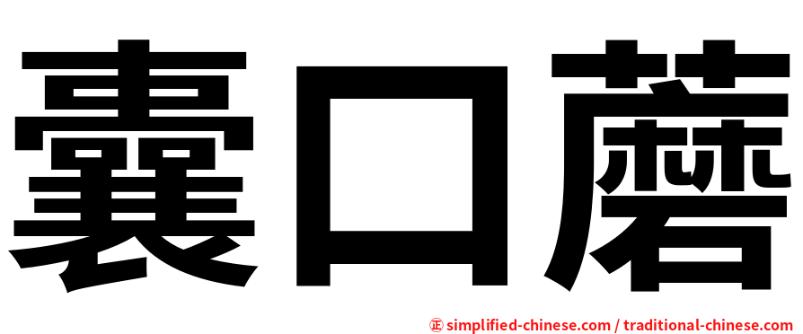 囊口蘑