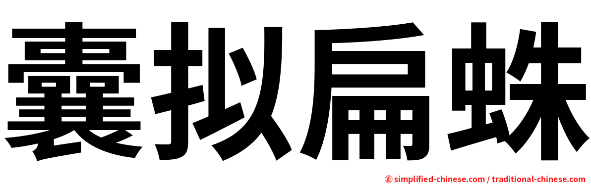 囊拟扁蛛