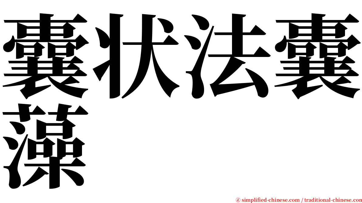 囊状法囊藻 serif font
