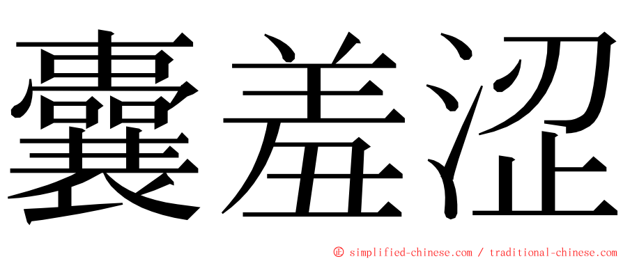囊羞涩 ming font