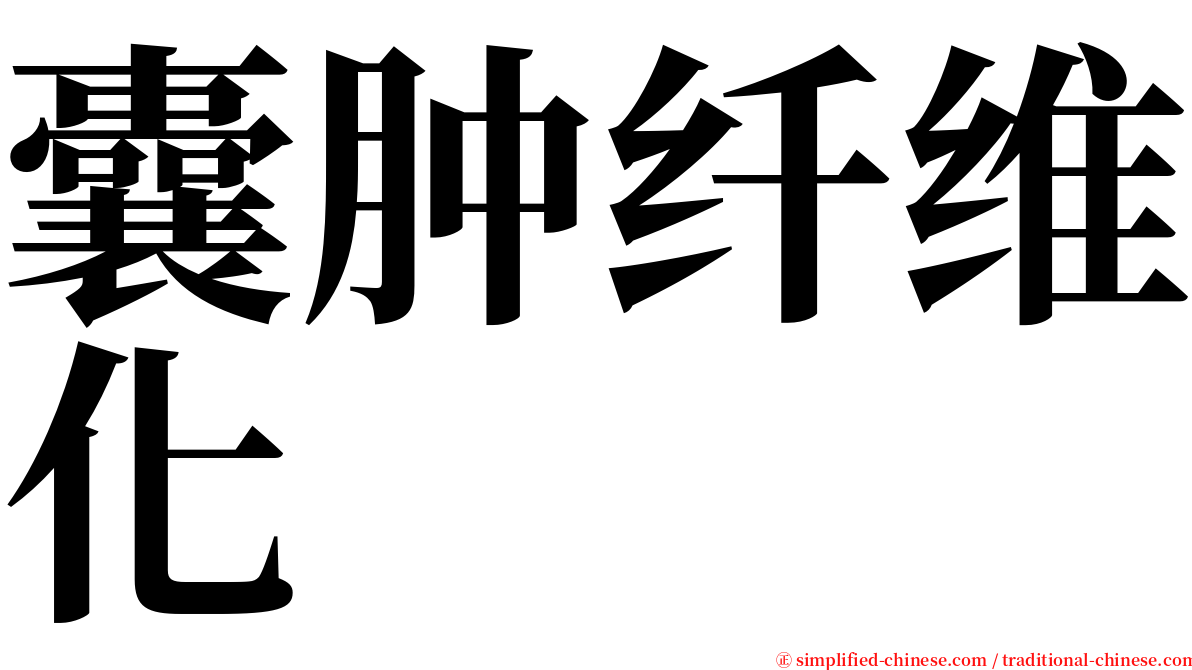 囊肿纤维化 serif font