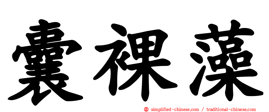 囊裸藻