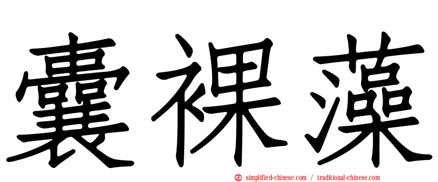 囊裸藻