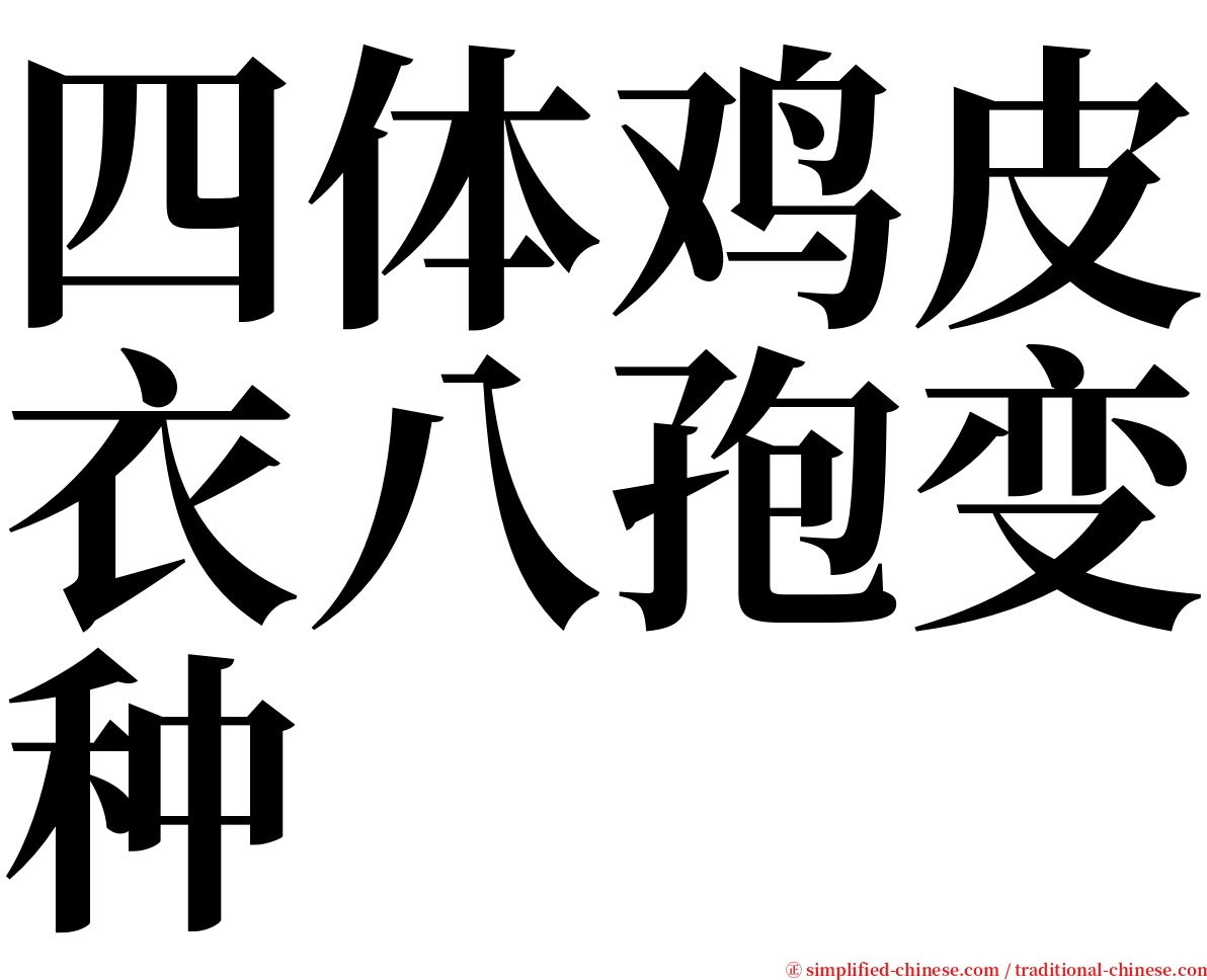 四体鸡皮衣八孢变种 serif font