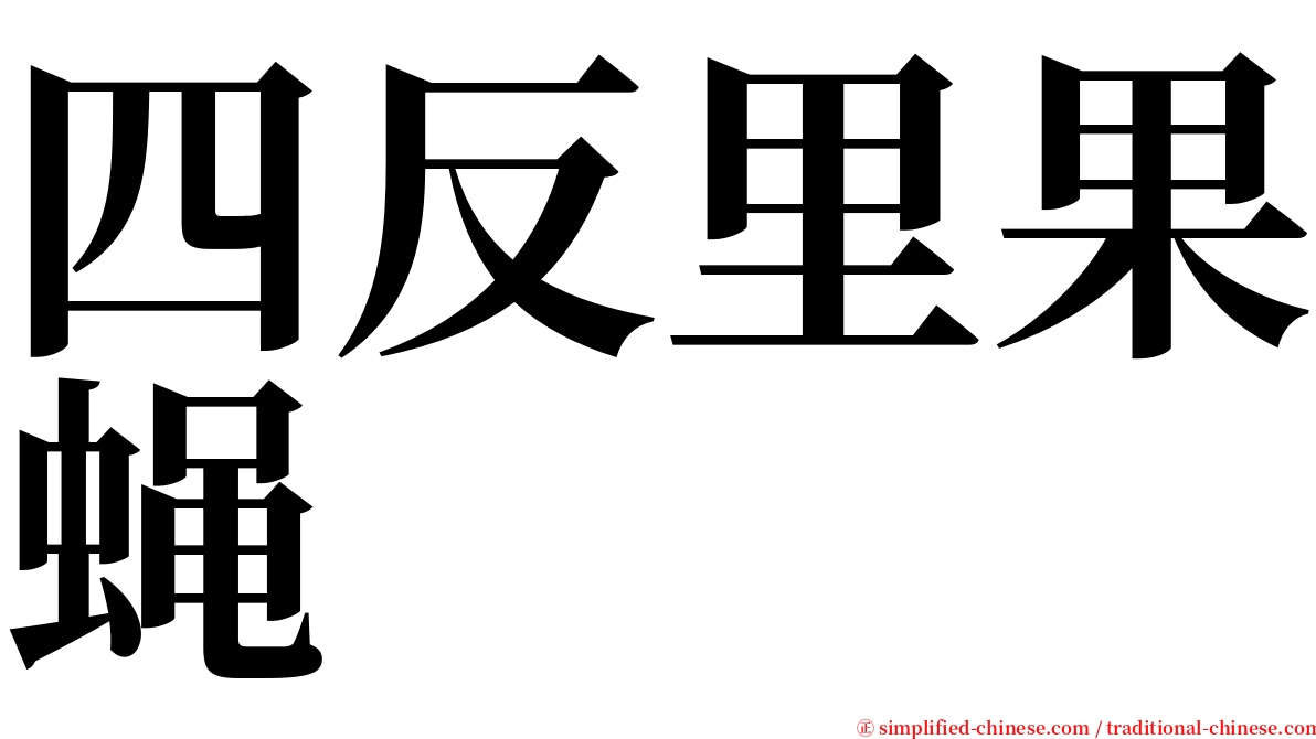 四反里果蝇 serif font