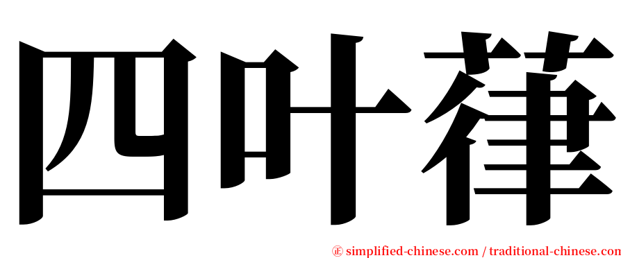 四叶葎 serif font