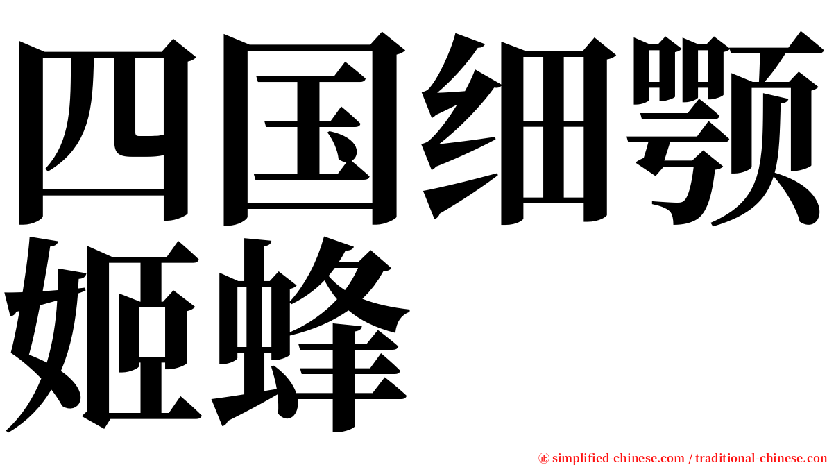 四国细颚姬蜂 serif font