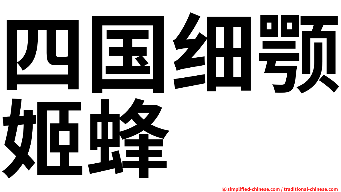 四国细颚姬蜂