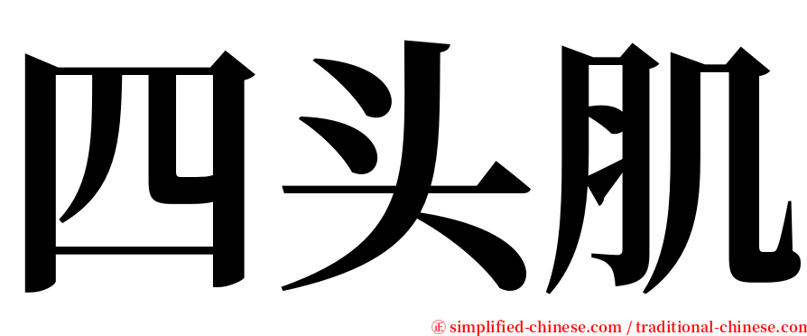 四头肌 serif font