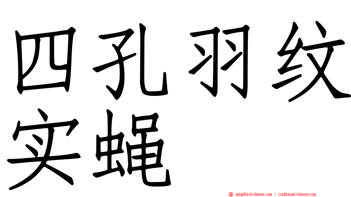 四孔羽纹实蝇