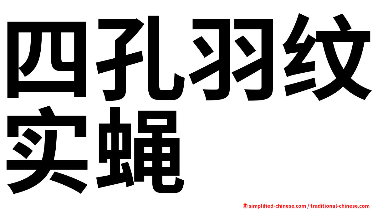 四孔羽纹实蝇